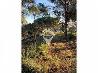 FANTASTICA PARCELA PARA EDIFICAR UNIFAMILIAR EN VENTA FOGARS DE LA SELVA