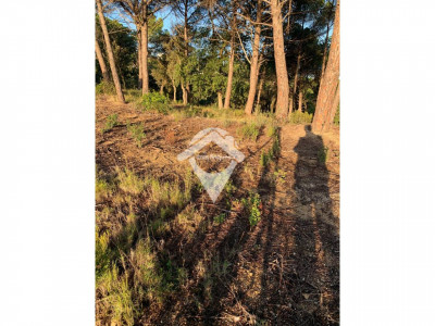 FANTASTICA PARCELA PARA EDIFICAR UNIFAMILIAR EN VENTA FOGARS DE LA SELVA