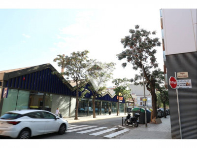 LOCAL ALQUILER CALLE BRUTAU