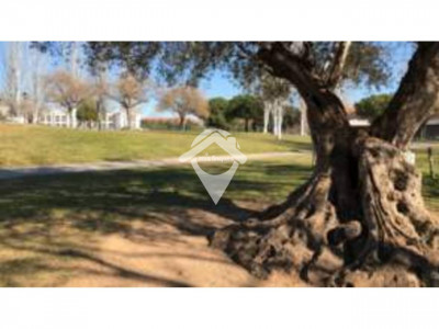 LOCAL ALQUILER CANTONERO MAS DURAN-SANT QUIRZE DEL VALLES