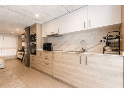 Piso en venta en La Plana del Pintor(08207)