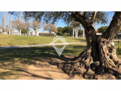 Piso, local y nave  en venta en Sant Quirze del Vallès