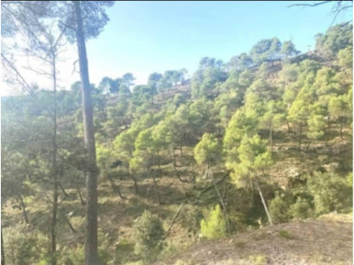 SOLAR DE 527M2 EDIFICABLE EN BALCÓ DE SANT LLORENÇ , CASTELLAR DEL VALLÈS!!