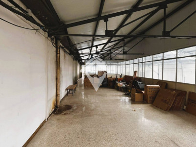 VENTA DE DOS NAVES PAREADAS EN BARRIO GRACIA-SABADELL